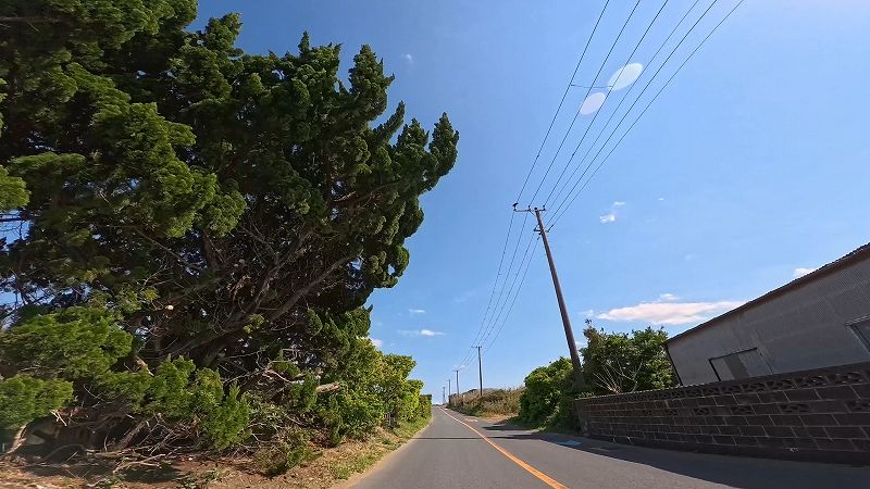 シーサイド道路